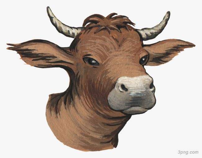 吉林市舒蘭市天德鄉(xiāng)反芻技術交流會圓滿成功！