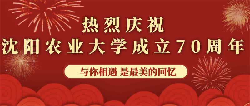 愛心捐贈助學，真情回報母校